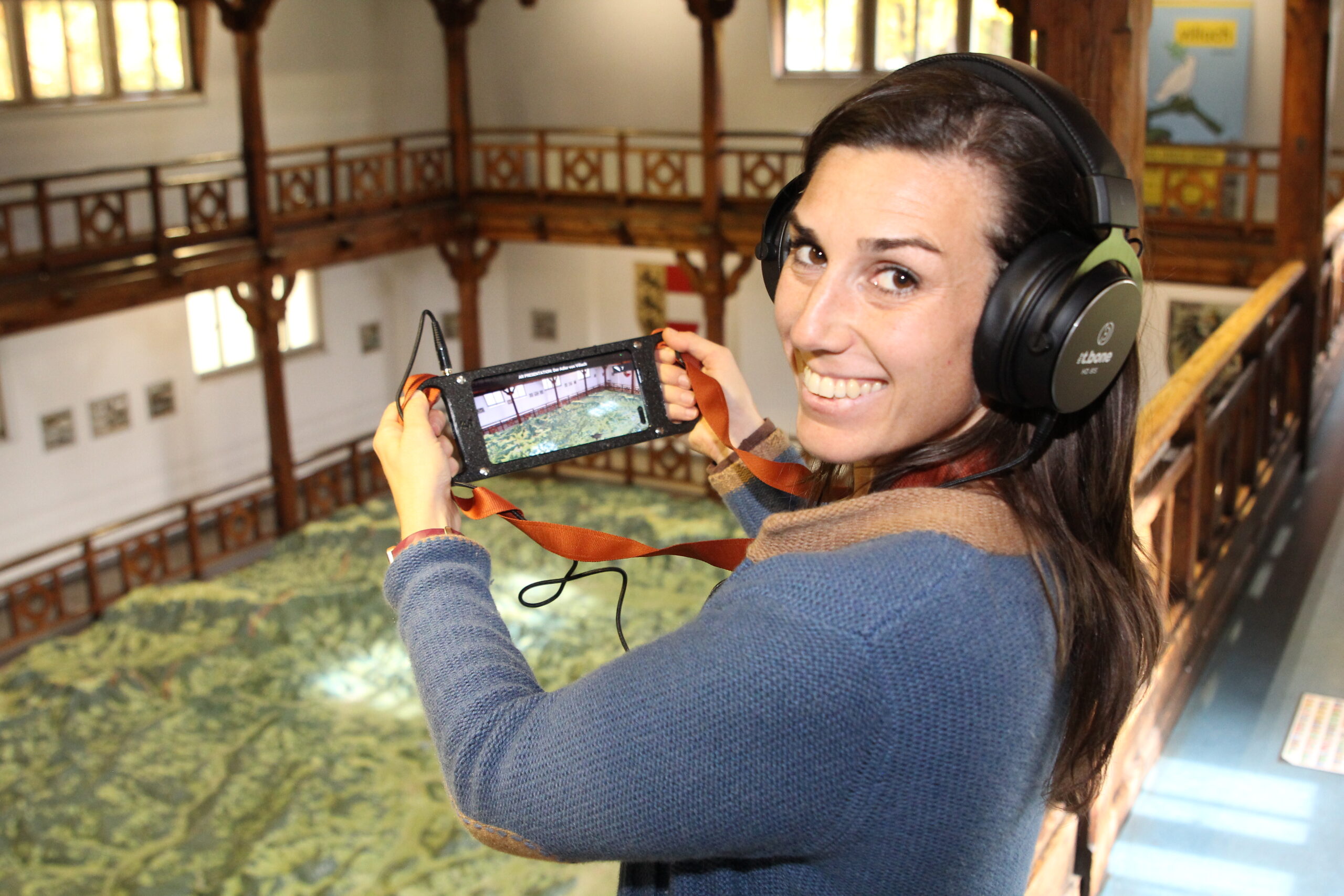 Carinthian Relief Model