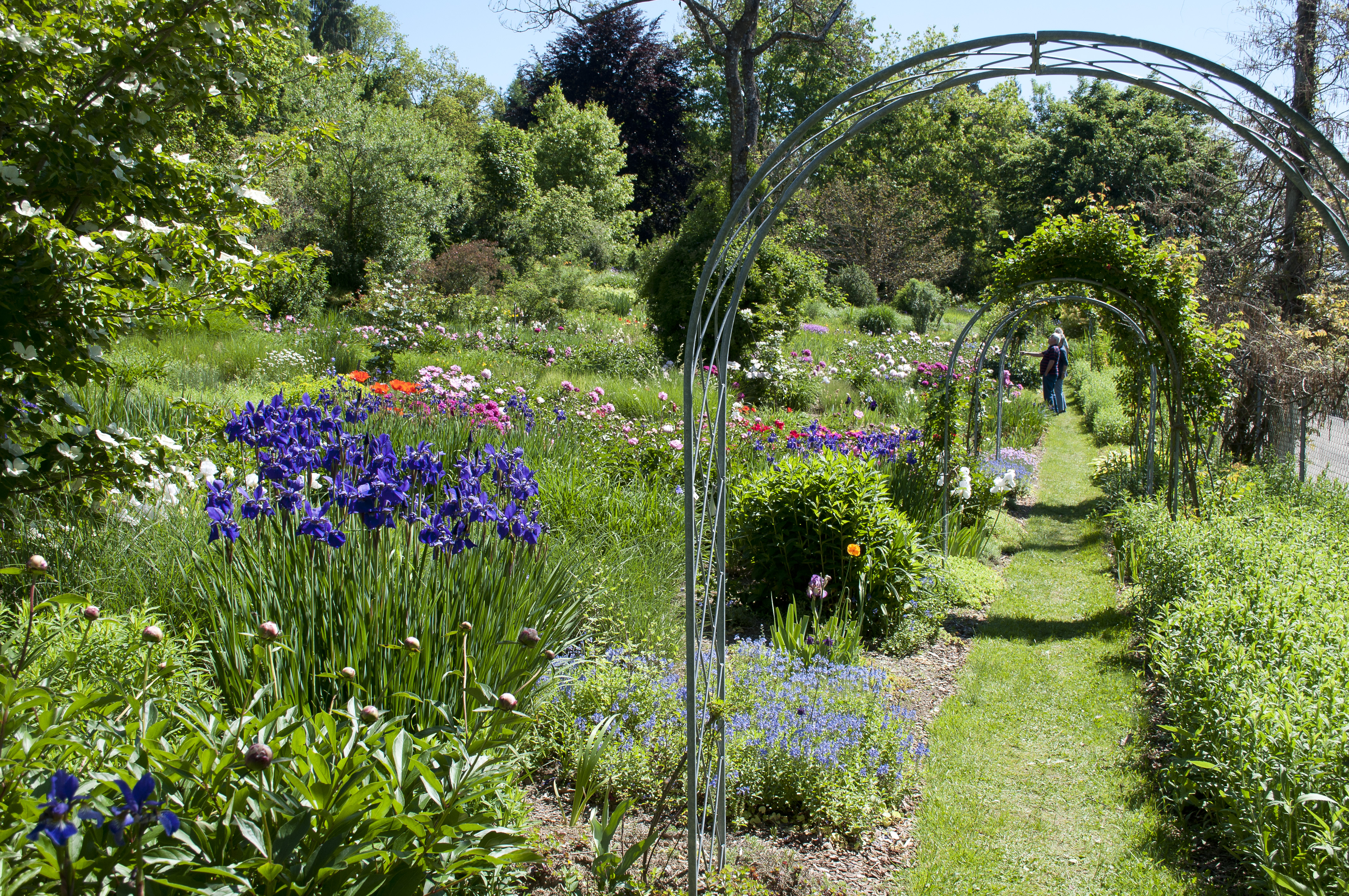 MATTUSCHKA paradise gardens