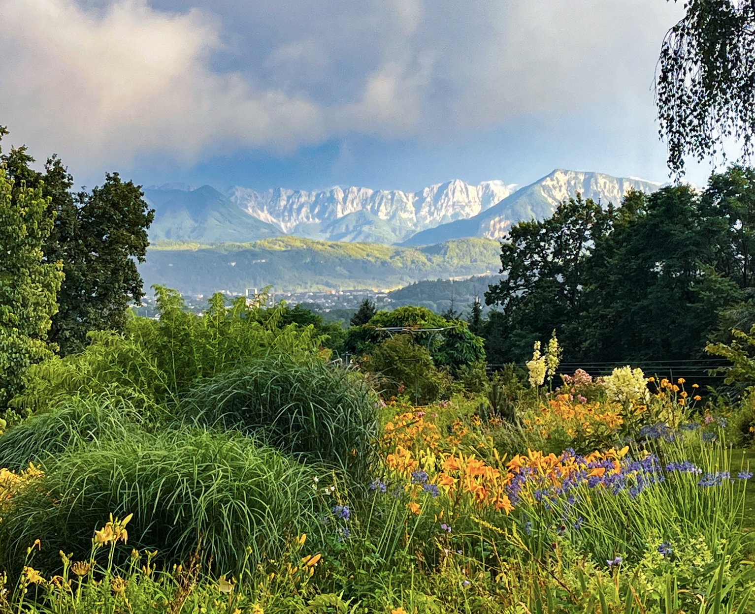 Frühlingserwachen in Kärnten