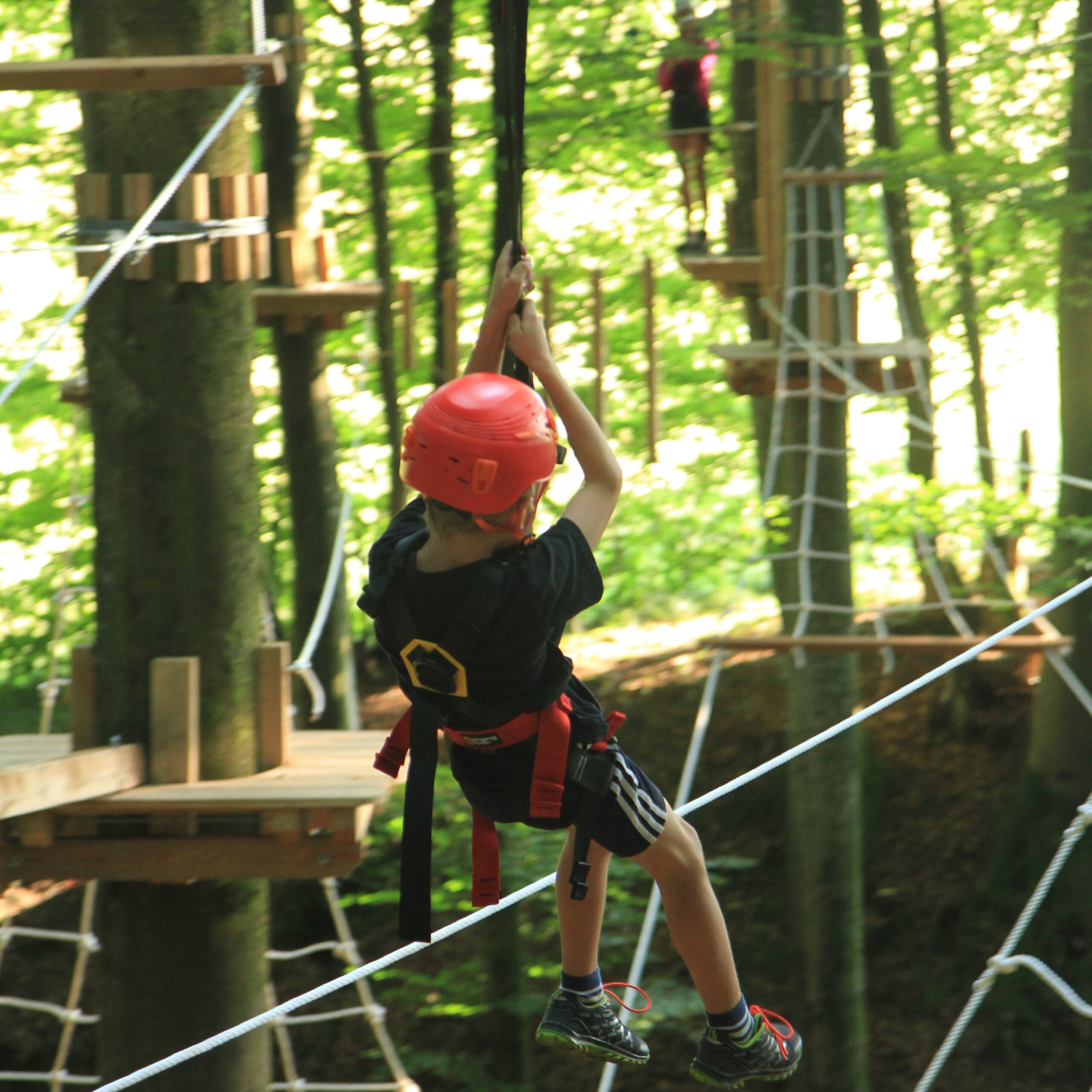 Kinderwald Ludmannsdorf