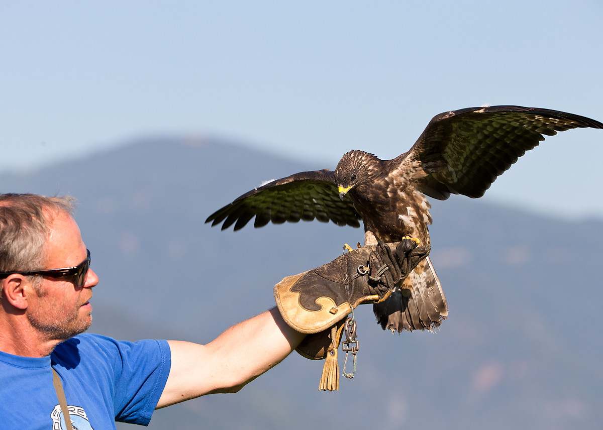 30 Jahre – 30 Preise