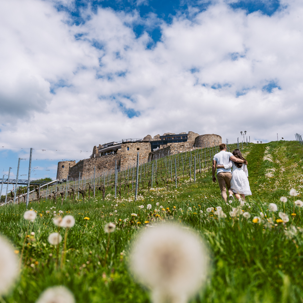 Taggenbrunn by Jezeršek