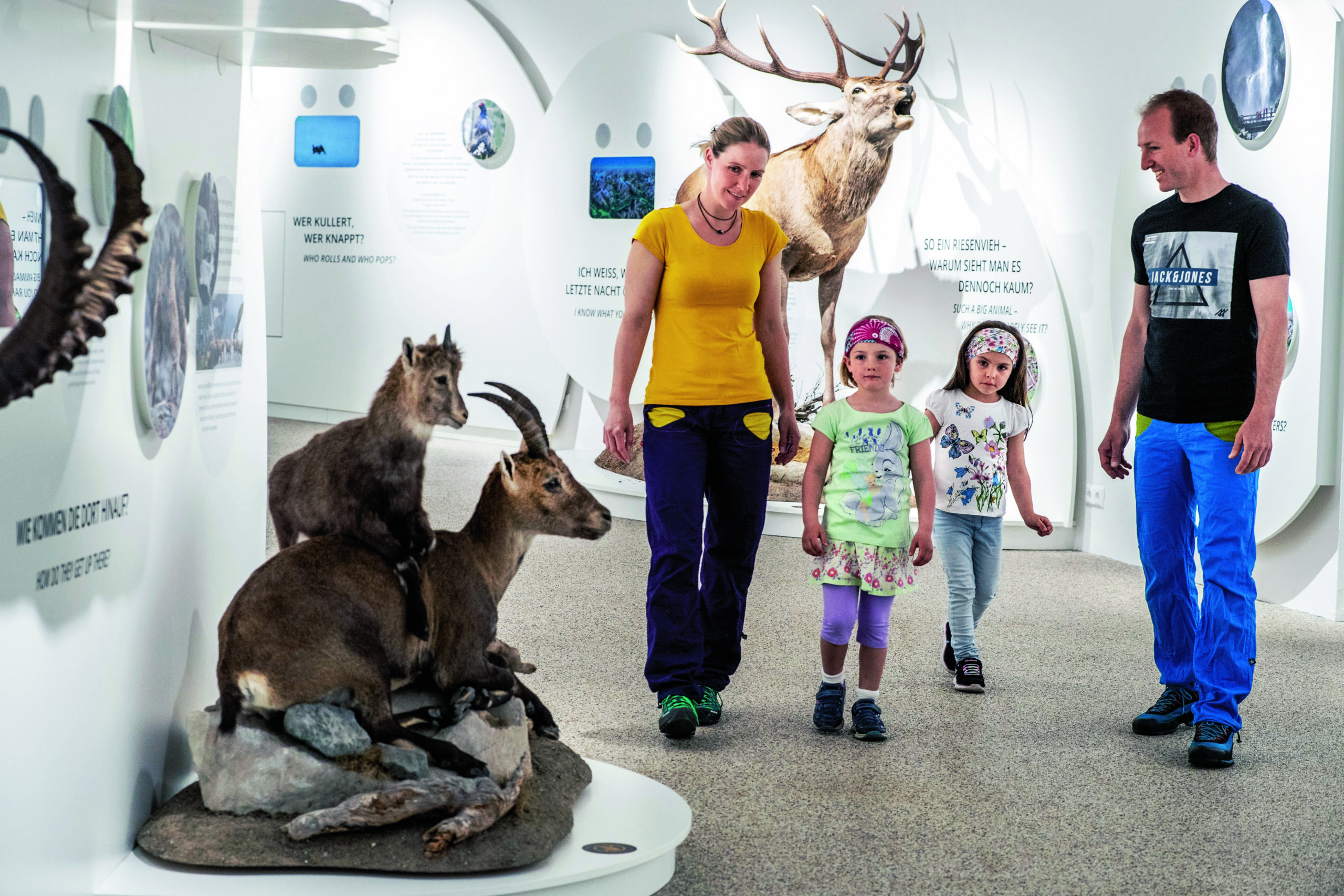 NATIONALPARK BESUCHERZENTRUM MALLNITZ